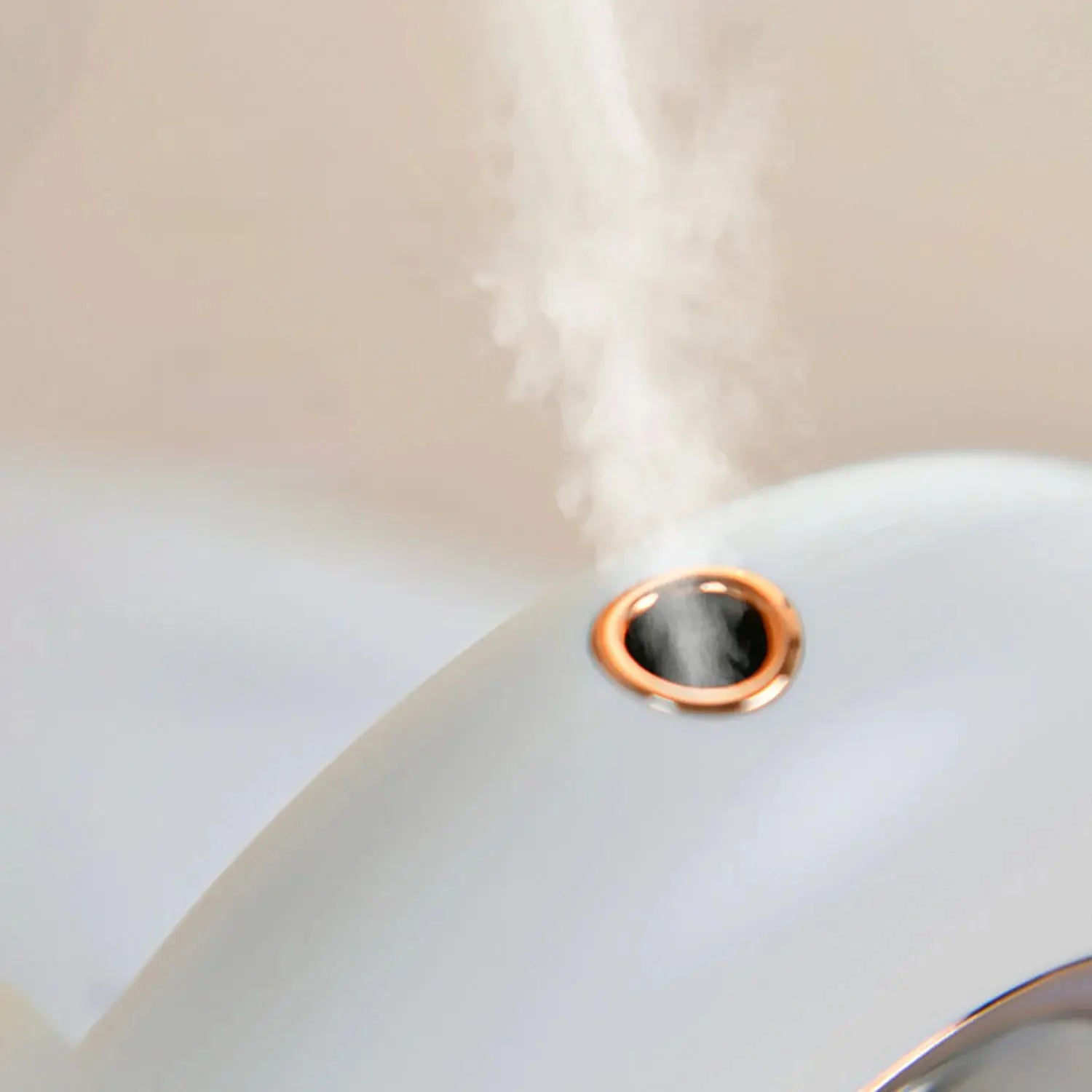 Le Rustique X10S Diffuser